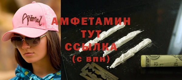 гашик Касимов