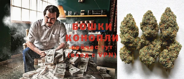гашик Касимов