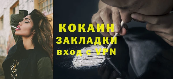 шишки Карталы