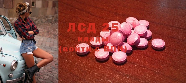 гашик Касимов