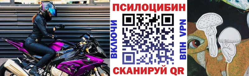Купить  Инза  Галлюциногенные грибы Psilocybine cubensis 